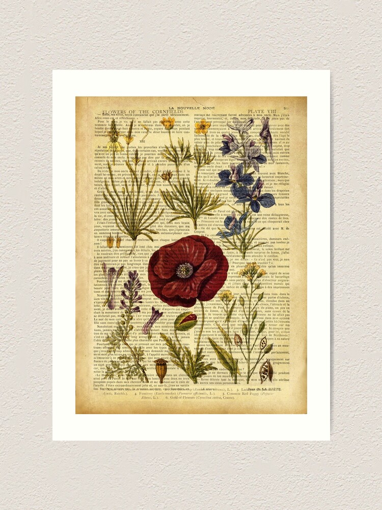 Botanical print, on old book page - garden flowers Tapestry for Sale by  Art Dream Studio