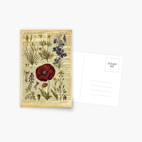 Botanical print, on old book page - flowers Postcard