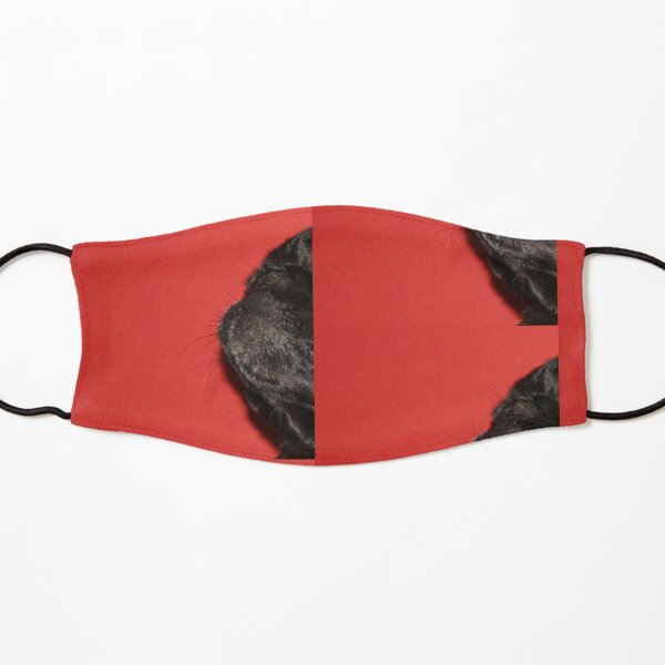 Pug Profile Kids Mask