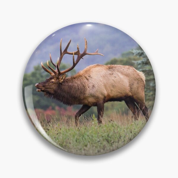 Item preview, Pennsylvania Elk designed and sold by Michael Sharp.