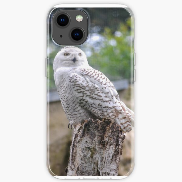 Snow owl iPhone Soft Case