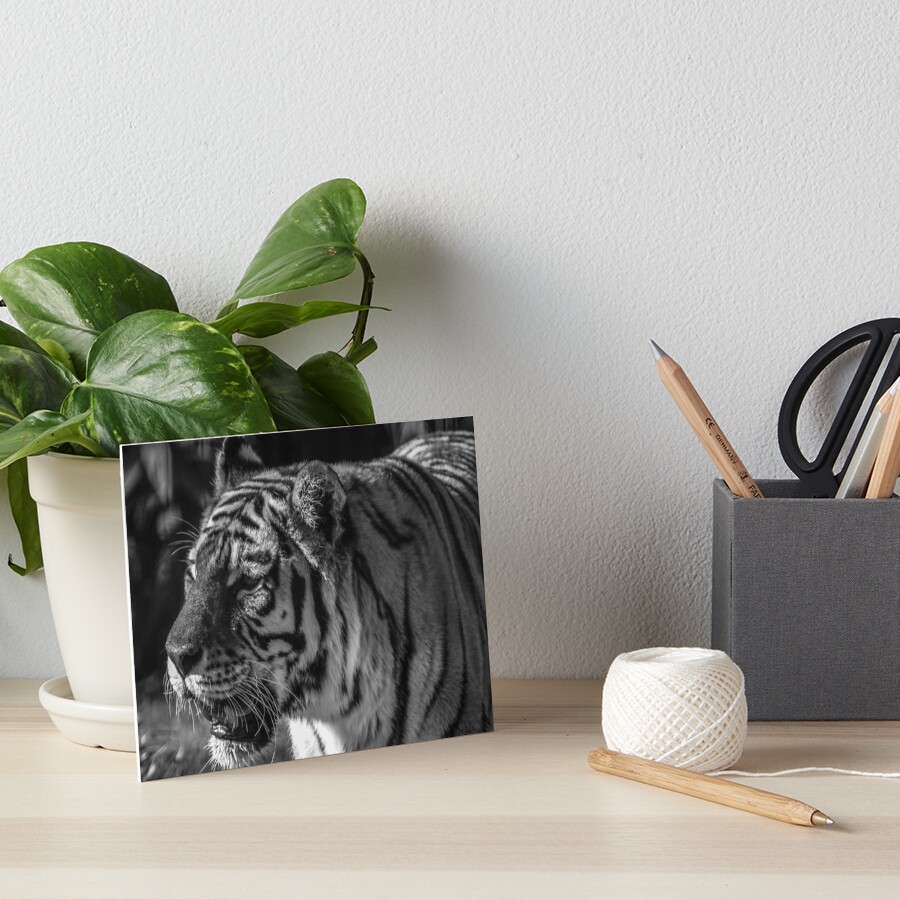 Item preview, Art Board Print designed and sold by Ruth-Goldsack.