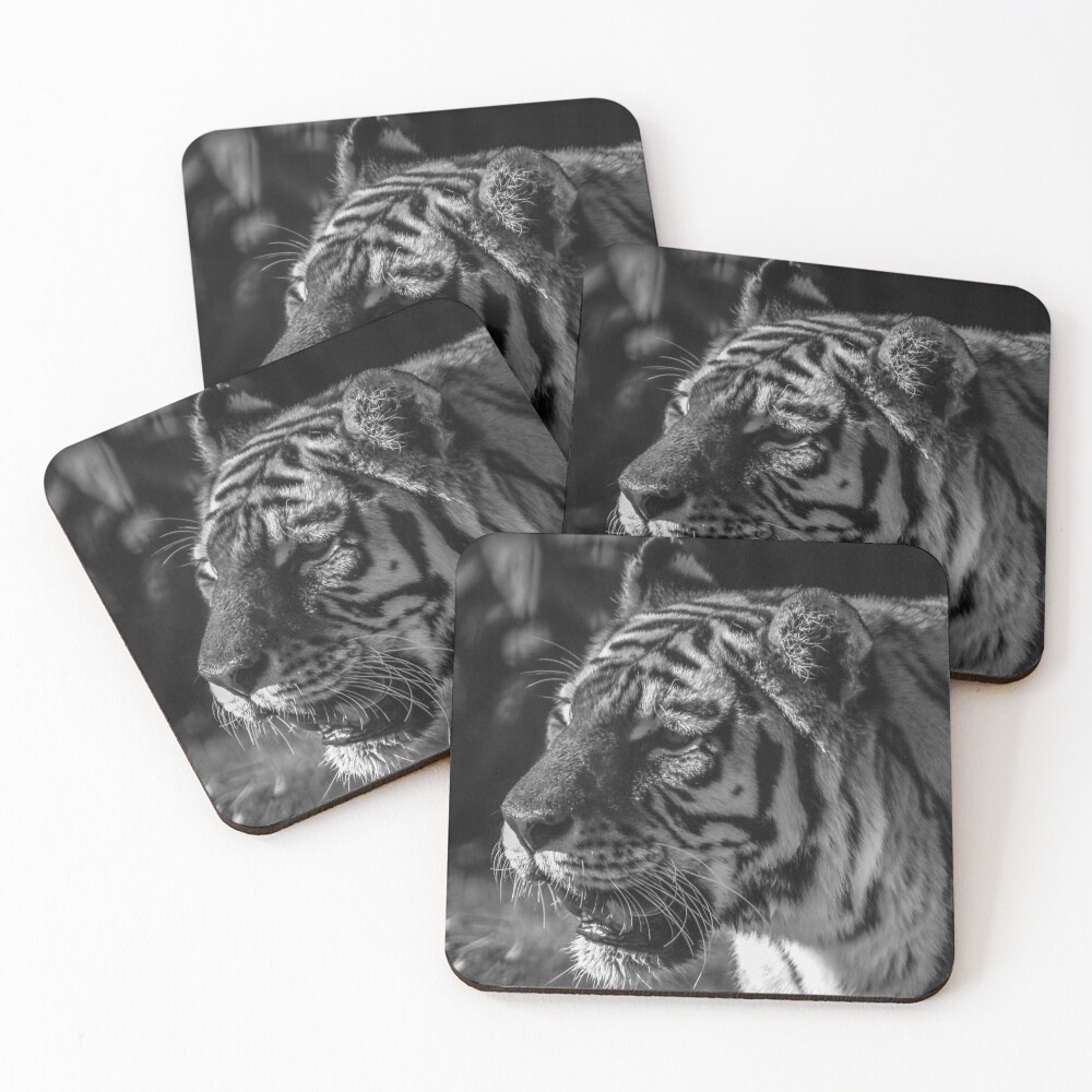 Item preview, Coasters (Set of 4) designed and sold by Ruth-Goldsack.