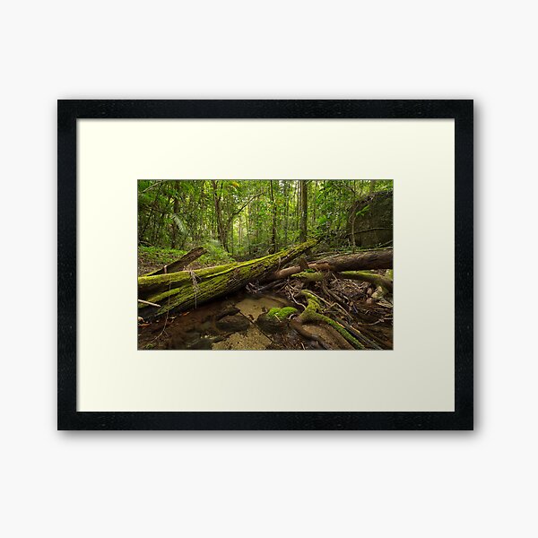 Item preview, 'Mossman Gorge, Daintree National Park, North QLD' designed and sold by Kerrod Sulter.