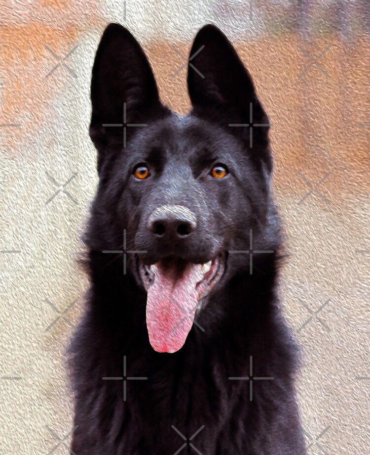 Schwarzer Schaferhund Dog Art Portrait Olgemalde Ipad Hulle Skin Von shiarsh Redbubble