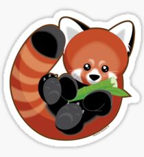 Cute Red Panda Sticker