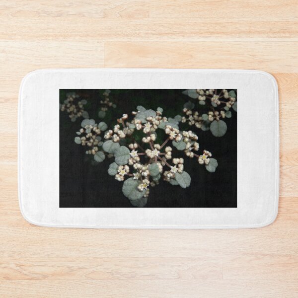 Item preview, Dusty Miller designed and sold by GP1746.