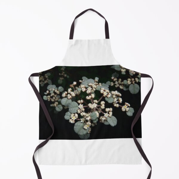 Item preview, Dusty Miller designed and sold by GP1746.