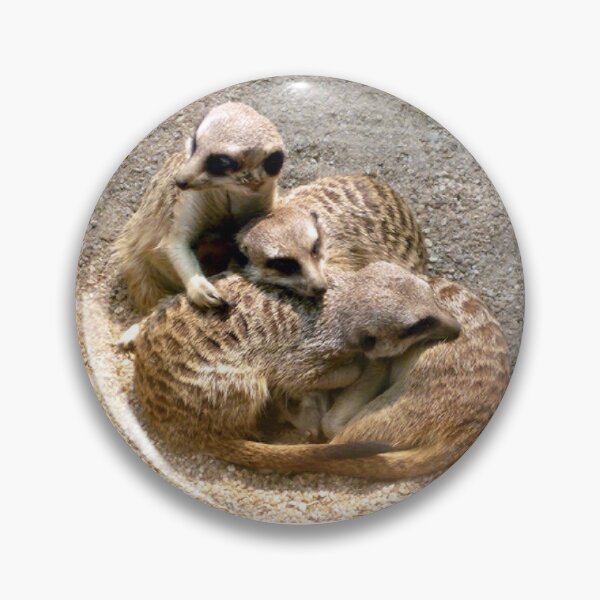 Item preview, Meercat Family designed and sold by Roz McQuillan Fine Art & Photography.