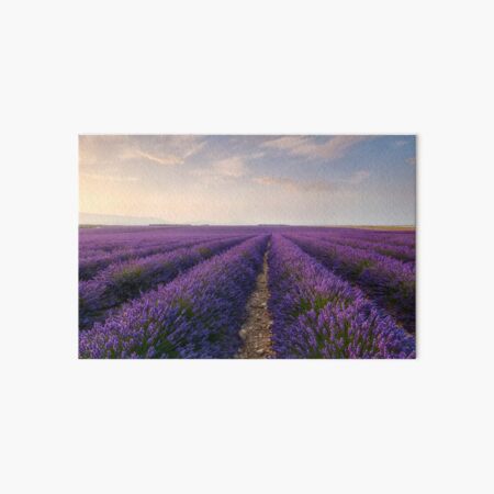 Infinity Art Board Print