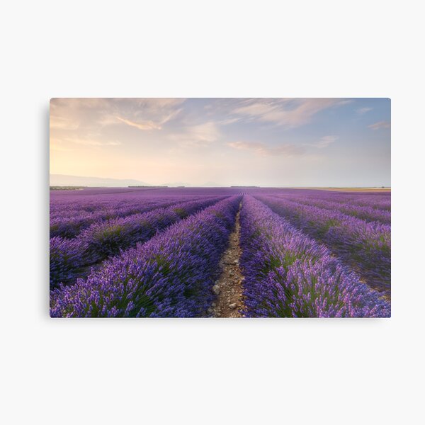 Infinity Metal Print