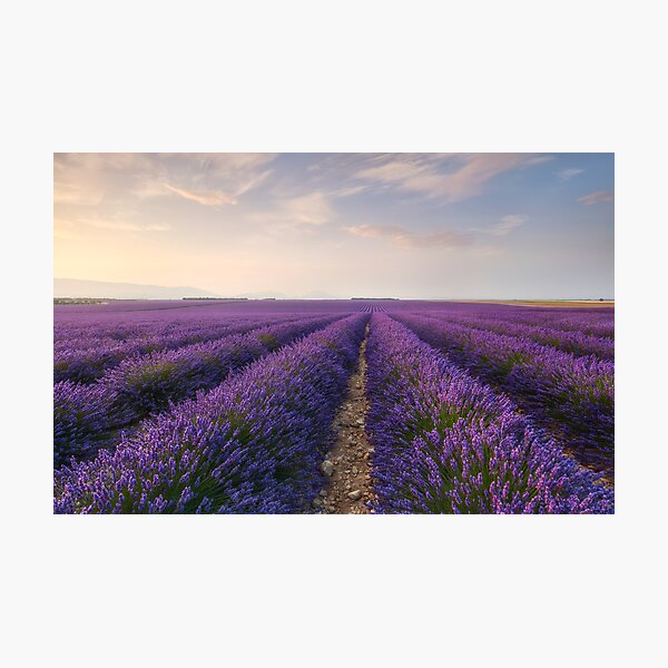 Infinity Photographic Print