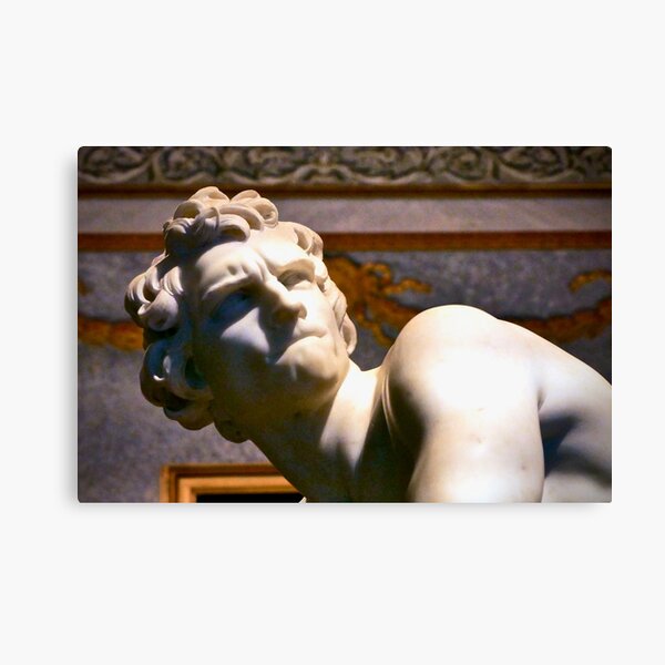 Item preview, David, by Bernini  designed and sold by cammisacam.
