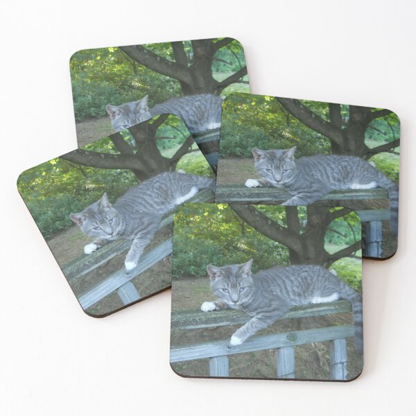 Item preview, Gray and White Cat designed and sold by Illustrationsbyv .