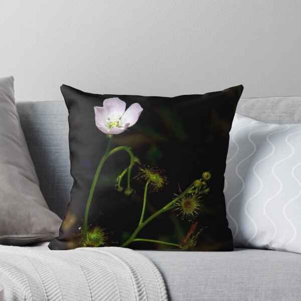 Item preview, Sundew In Flower designed and sold by GP1746.