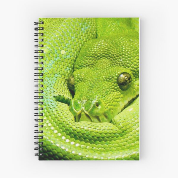 Item preview, Green Tree Python Coiled Up designed and sold by richardbryce.