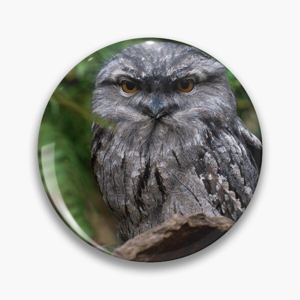 Item preview, Tawny Frogmouth designed and sold by GP1746.
