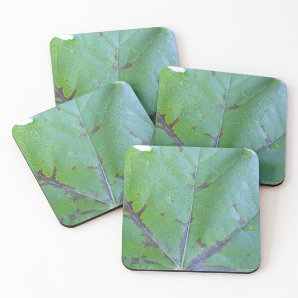 Item preview, Leaf designed and sold by Illustrationsbyv .