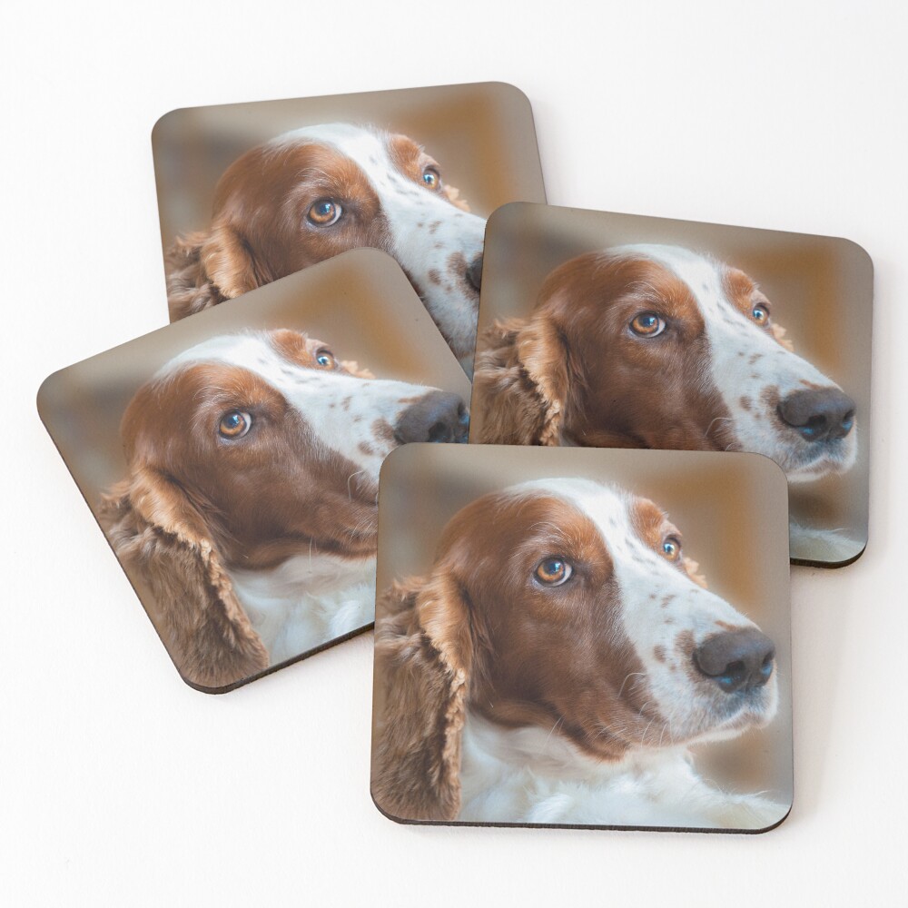 Item preview, Coasters (Set of 4) designed and sold by RJDowns.