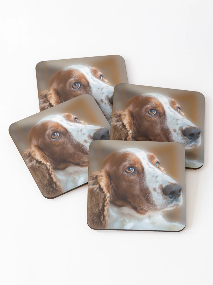 Thumbnail 1 of 5, Coasters (Set of 4), Welsh Springer Spaniel designed and sold by RJDowns.