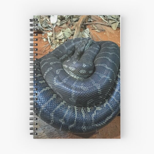 Item preview, Kaa designed and sold by Ruth Goldsack.