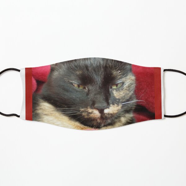 Cleo Kids Mask