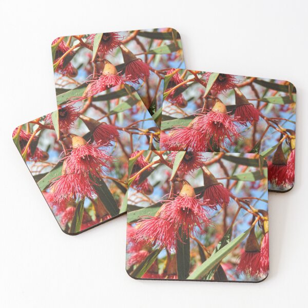 Item preview, Flowers of a Red Flowering Gum designed and sold by Marilyn Harris.