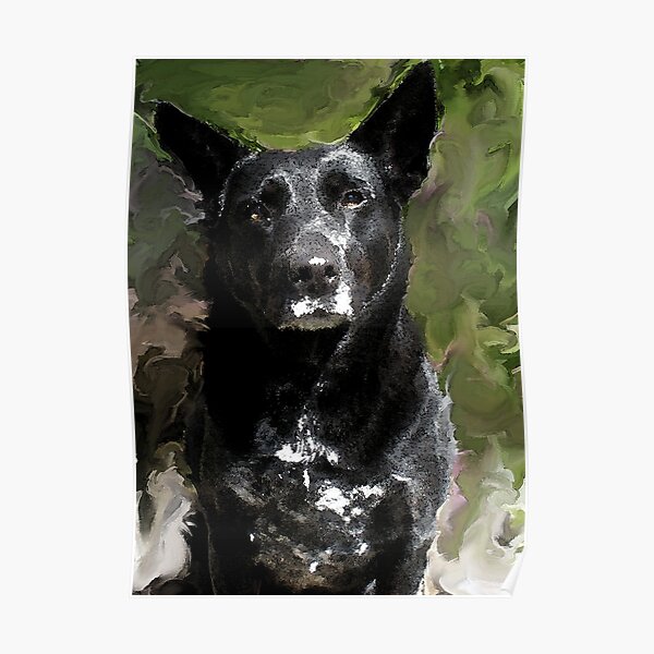 Molly Poster