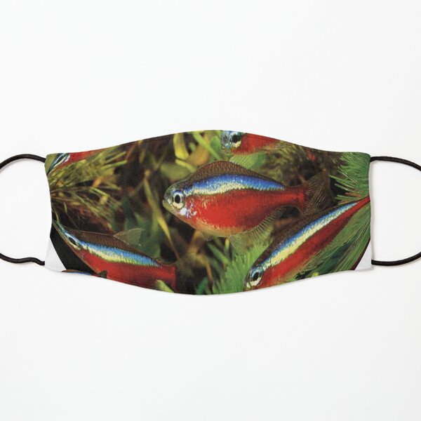 Paracheirodon axelrodi Kids Mask