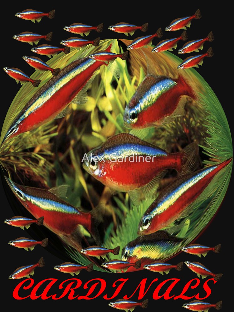 Thumbnail 7 of 7, Essential T-Shirt, Paracheirodon axelrodi designed and sold by windana1.