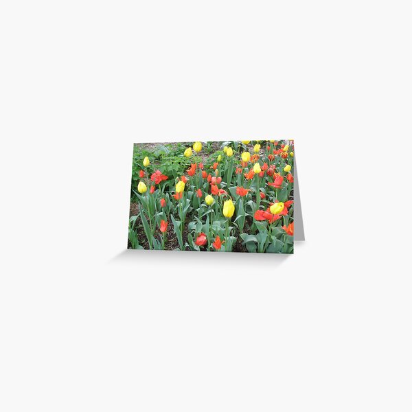Introducing Leura gardens~Ional7a Greeting Card