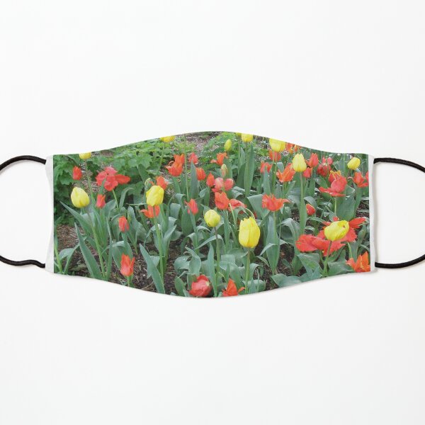 Introducing Leura gardens~Ional7a Kids Mask