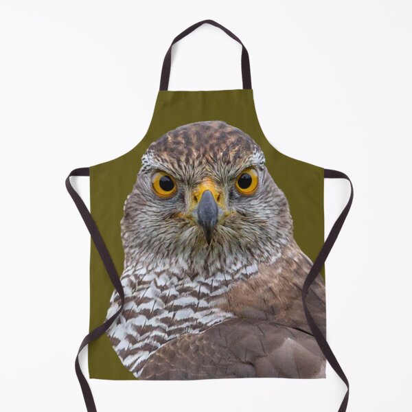 Item preview, Goshawk on watch designed and sold by Dalyndigital Photography.