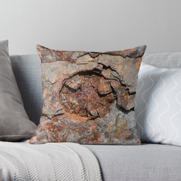 Rust-eaten metal panel Throw Pillow