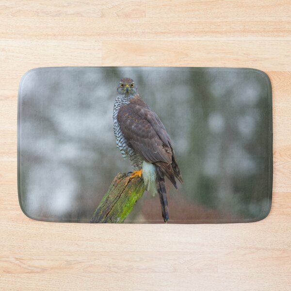 Item preview, Goshawk on watch designed and sold by Dalyndigital Photography.