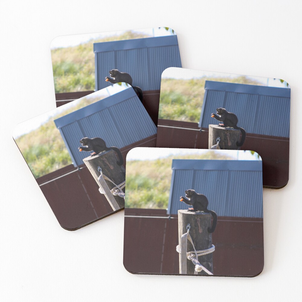 Item preview, Coasters (Set of 4) designed and sold by Ruth-Goldsack.