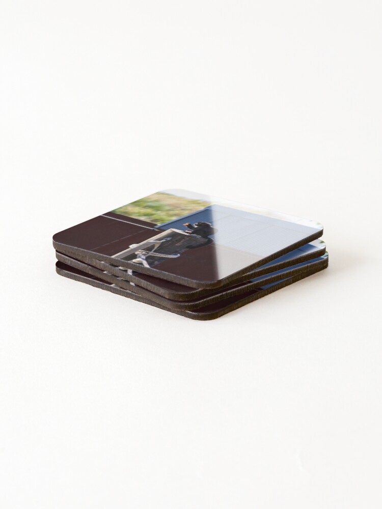 Thumbnail 4 of 5, Coasters (Set of 4), Snack Time designed and sold by Ruth-Goldsack.