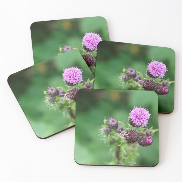 Item preview, Purple Creeping Thistle Flower Head, Cirsium Arvense designed and sold by Rob Cole Photography.