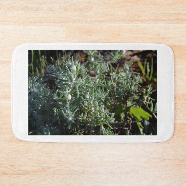 Item preview, Frosty Plant designed and sold by Tigerstorm241.