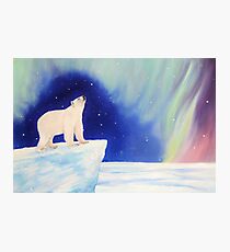 Polar Lights Photographic Print