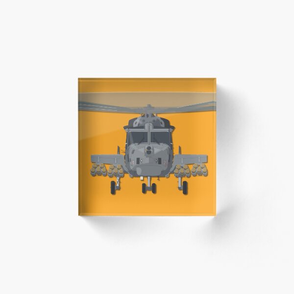 Wildcat Acrylic Block