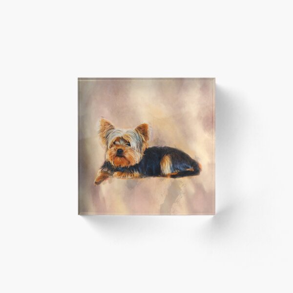 Yorkshire Terrier Dog Art Watercolor Portrait Acrylic Block