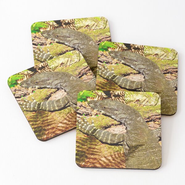Item preview, Goanna basking in the sun designed and sold by Mickangelhere.