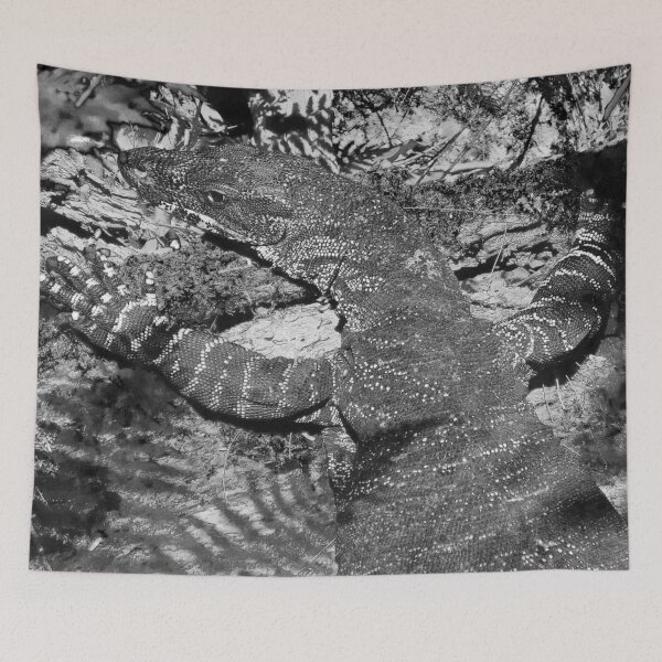 Item preview, Goanna chilling in the Bush designed and sold by Mickangelhere.