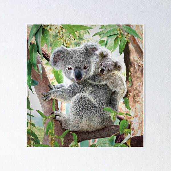 Koalas Wall Art Print Funny Cute Mother Koala and Baby Koala on Tree  Pictures Colorful Splash-Ink Animal Poster for Nursery Bathroom Living room  Kids