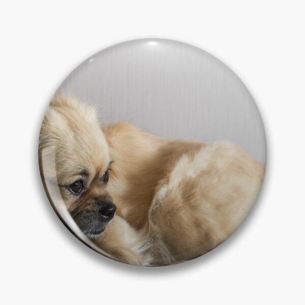 Item preview, Tibetan Spaniel designed and sold by Mikko  Suhonen.