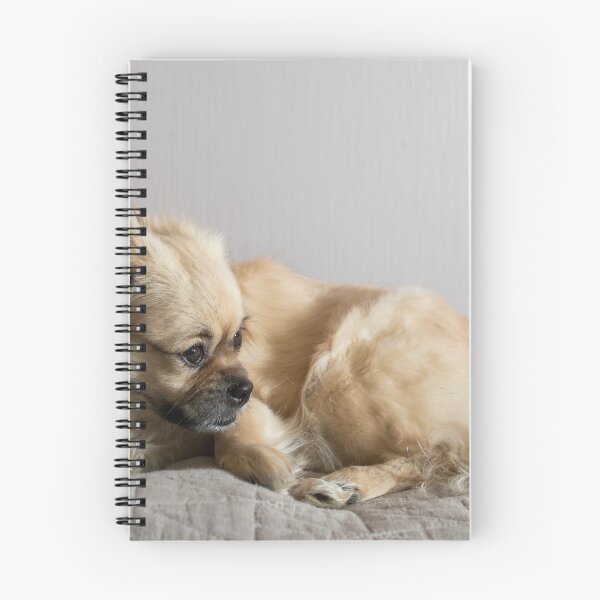 Item preview, Tibetan Spaniel designed and sold by Mikko  Suhonen.