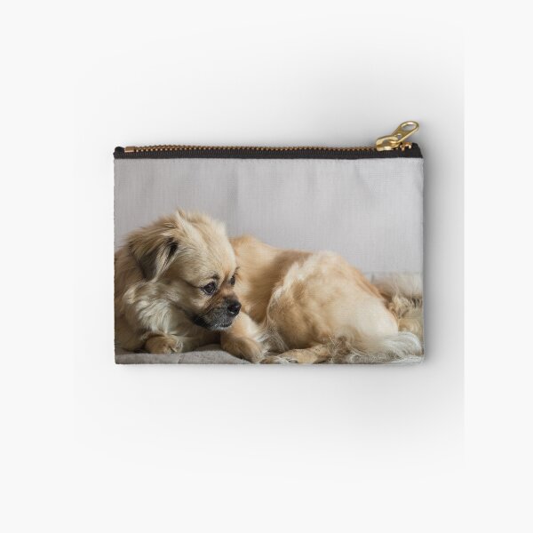 Item preview, Tibetan Spaniel designed and sold by Mikko  Suhonen.