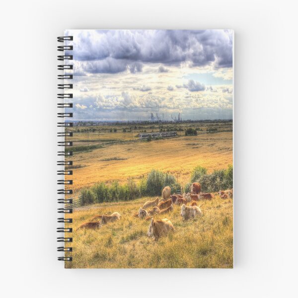 Item preview, Cows And A Passing Train designed and sold by Londonimages.