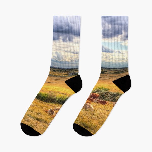 Item preview, Cows And A Passing Train designed and sold by Londonimages.